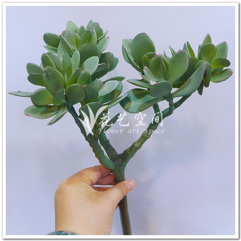 Simulation plastic plant long pole multi-head 15 money tree home decoration artificial plastic flower succulent plant