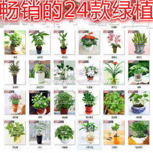 ��污�ɰlؔ��t�ƾ����m�G�}�����m�~�X����òݾGֲ���ܷN�ӡ�