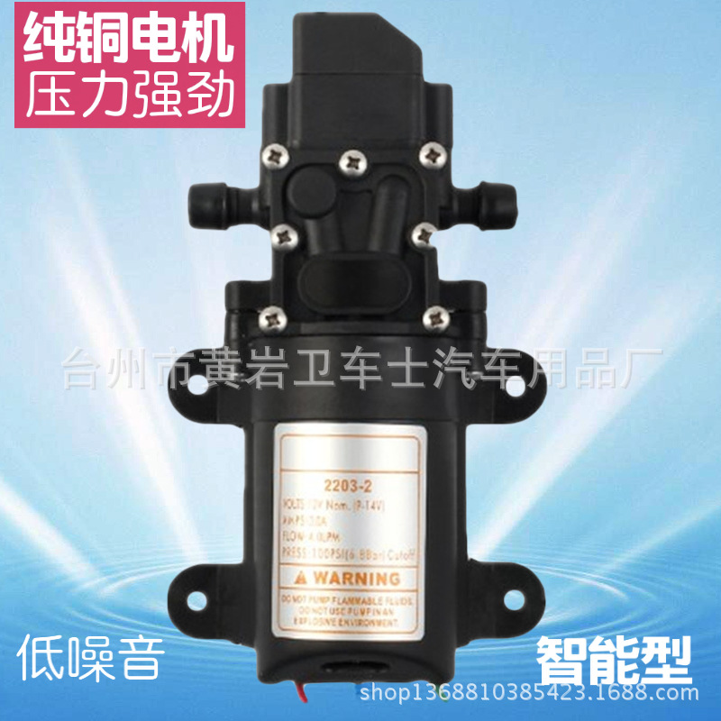 12v洗车器喷雾器隔膜泵电动洗车泵高压水泵洗车工具