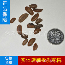 �²ɽ����ӷN�Ӟ������f�������Ә���N�ӟ��\���䘶�辰��N���]