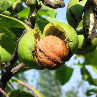 ������ ���Ҙ��� 8518 �޽��� ��Ƥ ���� ����Y�� �Ϸ������Nֲ