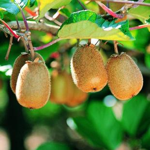 �̨�e��ͥԺ���Ե���ˮ�������� �J���Ҙ���