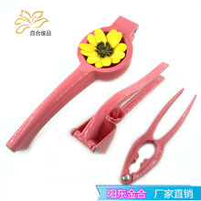 �N�����߶YƷ���l ���� ���ҊA    �S��  ������  �քә��ʉ�֭��