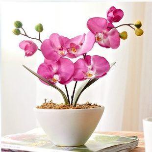 �����m���N�ӻ��׾`���ܷN�����׻��ײͲ��Nֲ��10��