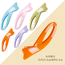 �R�����n��l�13cm��̖�~������A�ǹ���ɫ�����M�A�r���������l