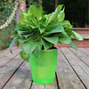 Automatic big resin, plastic flowerpot, wholesale