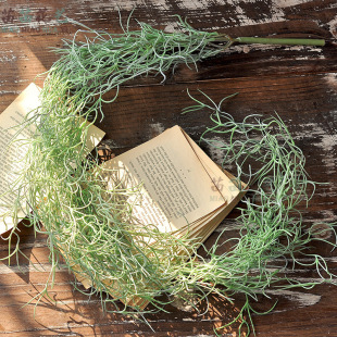 ����՚��P�� ��������}�F�m�����Gֲ�҃��bڒ���m�S�����l