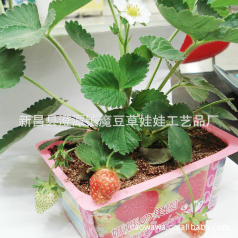 ֲ ֲܿũ ħ Сͻ辰