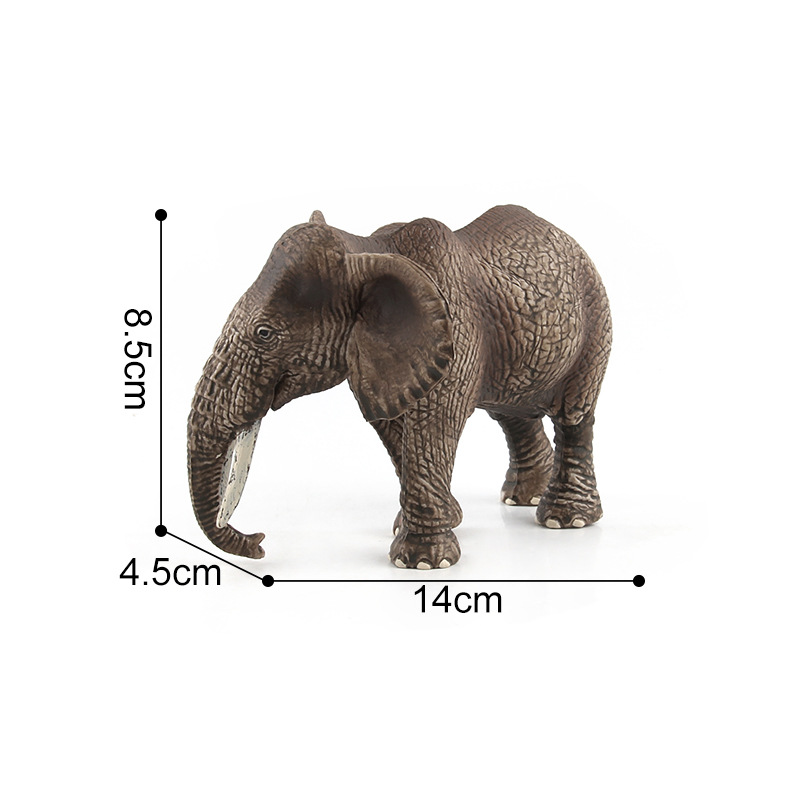 LX802 elefante hembra 250g