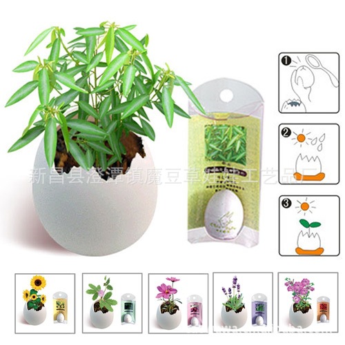 ֲʥϵпħ ֲմħ ʥﵰ辰