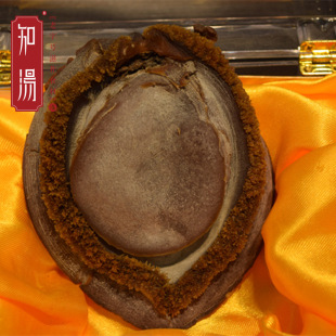 �U�~ ���l�ϷǸ��U�~ ˮ�a��؛�U�~��؛�a�����l֧��һ�����l