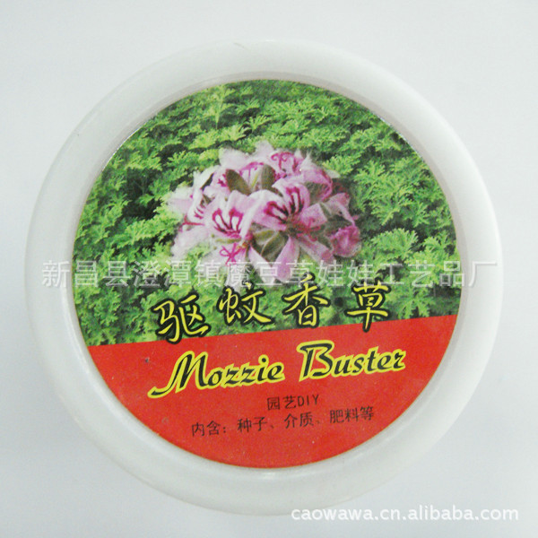 ݸòݻֲ/׻԰2ԪƷ칫СƷֲ