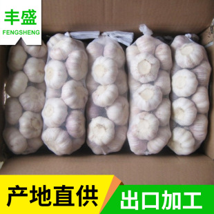 金乡丰盛大蒜现货供应出口级精装新鲜晒干大蒜 批发纯白干蒜-阿里巴巴