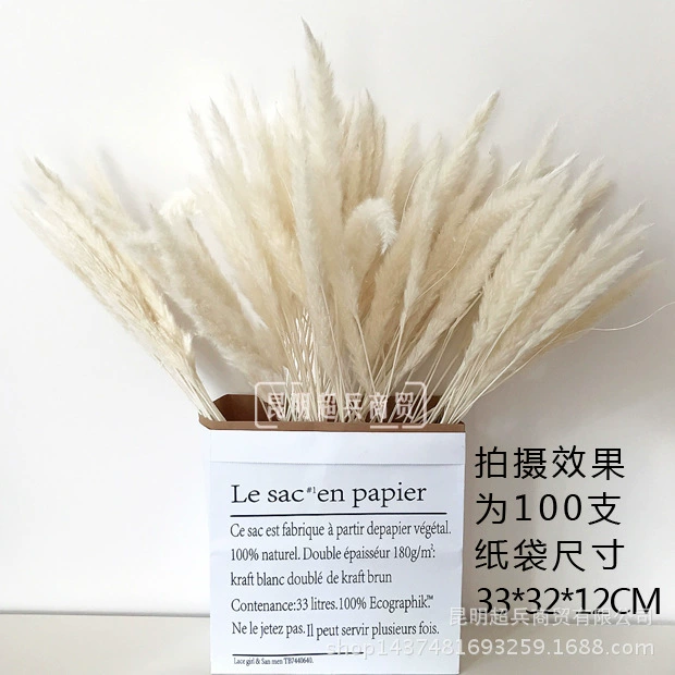 【Сушёные цветы Маленькие тростник】 InSS Pink Reed Маленькие тростники сушёные цветы для домашнего декора Пувэй Фан Пас Цао
