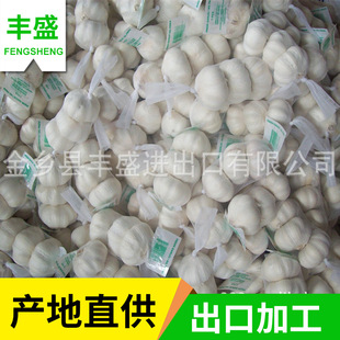 Normal white garlic ���ڴ��� ɽ�|���l�a�جF؛���l�׸���S��