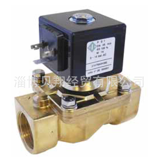 ODE��ŷ� 21W4KE250 AC220V