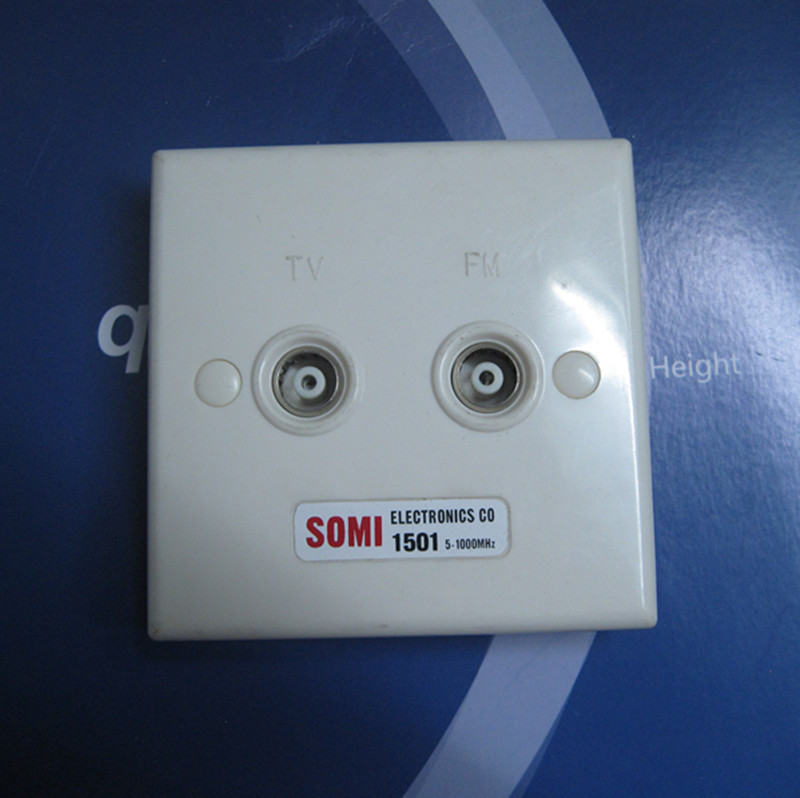 Gstar-1501 双孔电视终端面板 TV/FM面板