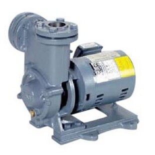 �ձ�Ebaraˮ��3M/I 65-160/11�h�r