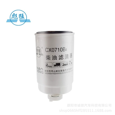 filter, Diesel filter