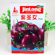 紫圣女果樱桃番茄种子 哈金龙小番茄家庭四季盆栽特色蔬果种籽孑