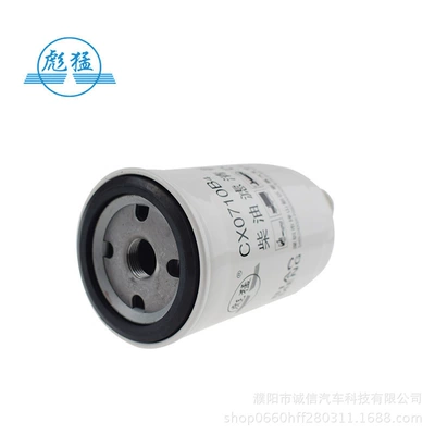 cartridge diesel grid. Fuel – Diesel filter
