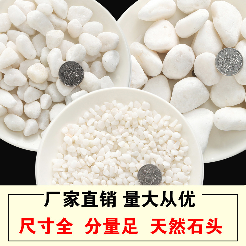 Natural cobblestone White small stone paving snowflake white gravel white marble garden landscape withered landscape White Stone Natural cobblestone White small stone paving snowflake white gravel white marble garden landscape withered landscape White Stone