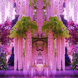 �໨���ٷN�Ә�������������Ի��@����ͥԺ��Ԯֲ��