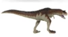 Solid Torosaurus