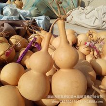 �a��ֱ����Ȼ���J�غ��J С�д�̖�������J ������J���l����J