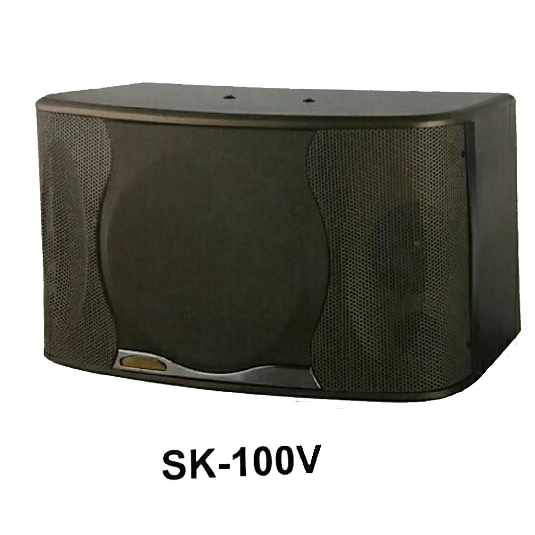 Altavoz de karaoke SK-100V individual de 10 pulgadas, sistema de audio profesional para KTV, granja, villa, cine en casa, conjunto para conferencias