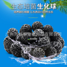 ������������������^�V����/��������������������^�V����