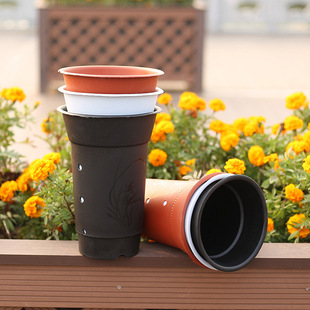 �Ӻ����ϻ����m���� ���մ��̨���ԾGֲ�� �A���L�w�������l�S��