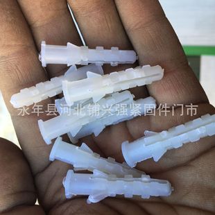 �������l����Û��������Û�ܰ�ɫÛ���~�έh����Û˨����Û���z��