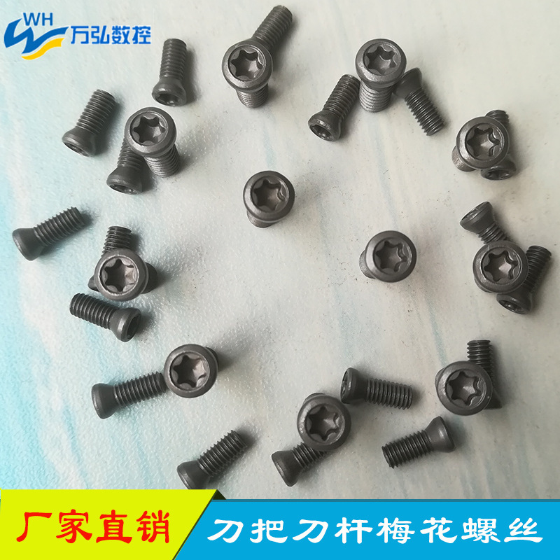 Gray M3.5 Series Grade 12.9 High Strength Cnc Tool Screws Plum Turning Tool Bar/tool Holder/screws Gray M3.5 Series Grade 12.9 High Strength Cnc Tool Screws Plum Turning Tool Bar/tool Holder/screws