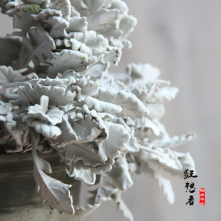 �������y�~��ɭϵ�ذ���Ȼ�ɻ����滨�Ҿ��b廨�����l�r��