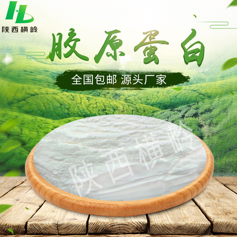 牛胶原蛋白原料   高含量牛皮胶原蛋白粉    批发胶原蛋白粉