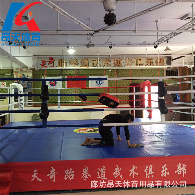 Los fabricantes suministran Sanda anillo de boxeo Anillo de pie escritorio costilla anillo deportes suministros al por mayor