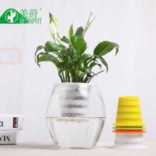 源頭工廠 定植籃 塑料水耕水培蔬菜定植籃無土栽培種植藍杯固根器