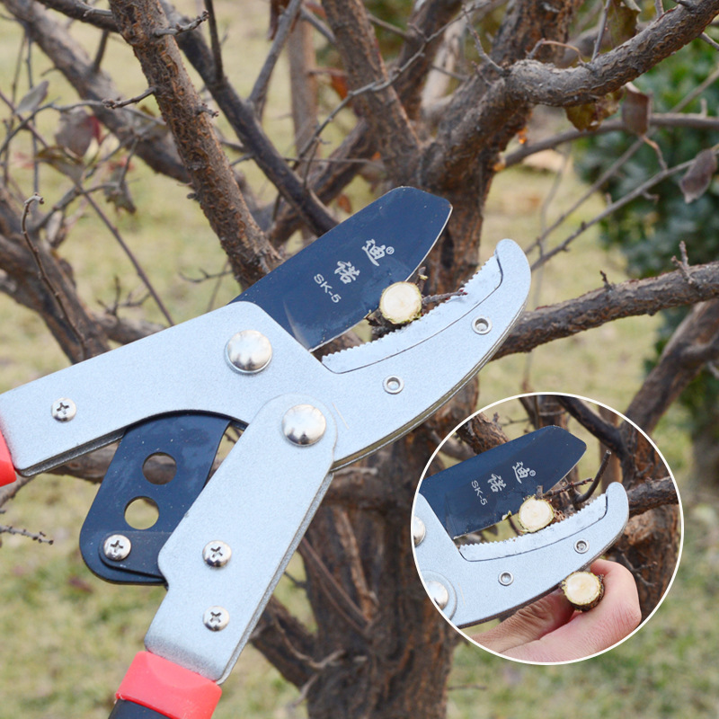 厂家批发迪诺钢管柄sk-5大力粗枝剪大枝剪省力树枝园林剪刀修枝剪