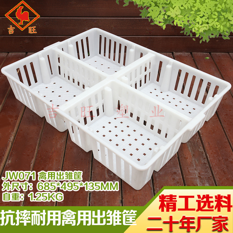 厂家直销家禽苗箱禽用塑料筐分格出雏塑筐胶框一体成型塑料孵化筐