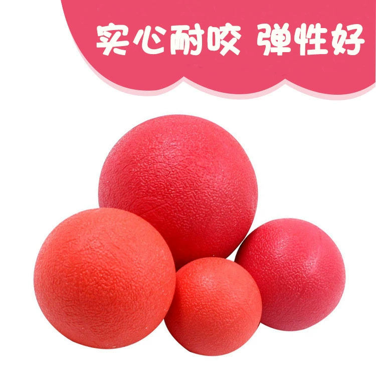 Укус любимчика упорный мяч дрессировки собаки мяч собака укус мяч игрушка ТПР эластичный мяч дрессировки собаки мяч любимчика мяч оптом