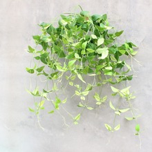 ��4���F���Gֲ�G�����~�F��ɏ�~ˮ���~����ֲ����滨���l