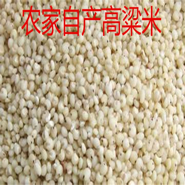 Новый рис сорго, произведенный фермером