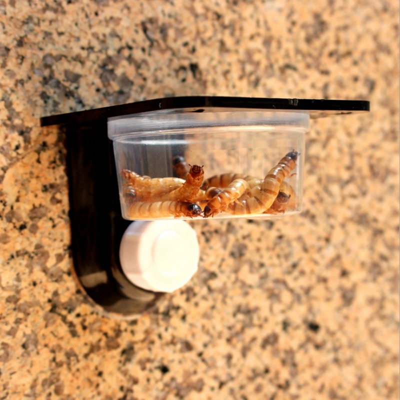Кремовый basin вода вода сток отходы стирка угол Fay Palace Feed терминал Beetle Jelly терминал Green кэп Poor Spider Bread