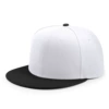 Black and white color