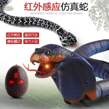 新奇特整蛊玩具电动遥控红外线对频仿真响尾蛇眼镜蛇遥控蛇行走