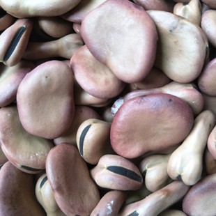 ����s�Z �������| �Q�� �㽶�Q�� �Q�� ���󃞻�