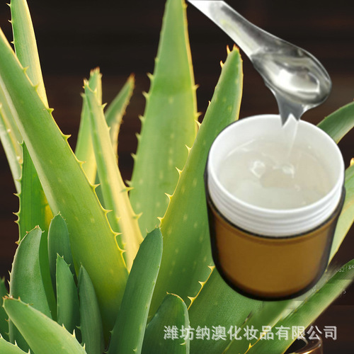 Origin of U.S.A. Curacao Aloe Vera Gel Aromatherapy Plant Hydrating No Tightness
