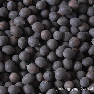 ���l��̶����ɏ�����Fɏ����ɏ�N�Ӛ�ɏ��500������r���S��ֱ��