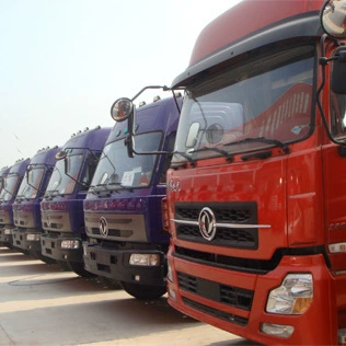 Услуги по перевозке грузов и таможенному оформлению в Шэньчжэне, Янтиан, Шэкуо